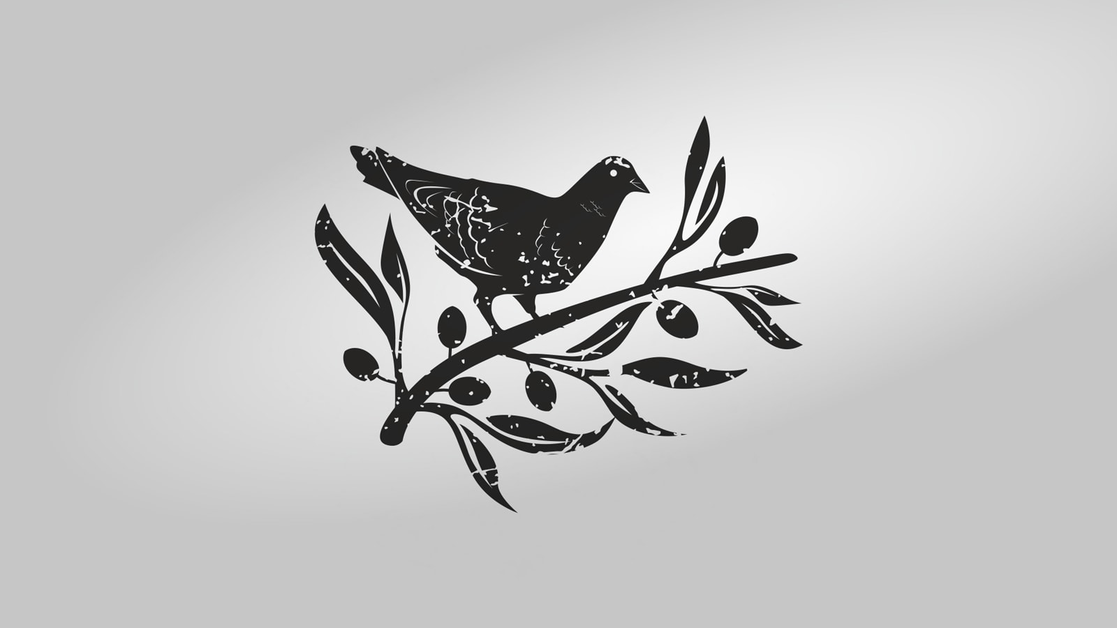 橄欖油包裝設計
